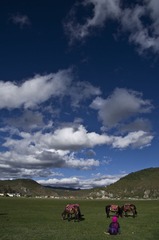 20130620IMGP0776.JPG