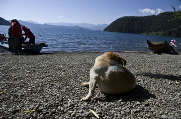 20130617IMGP1143.JPG