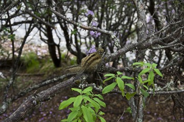 20130622IMGP0918.JPG