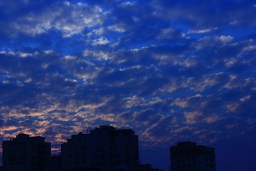 IMG_0893.JPG
