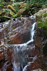 IMG_1065.jpg