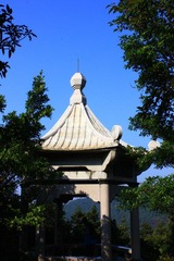 IMG_1143.jpg