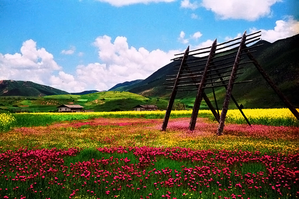 云南途中草甸子风光