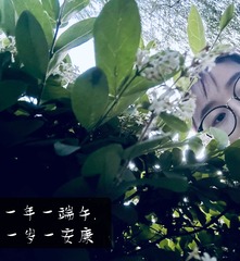 3E15DC3C-D8B1-4059-8189-4CDA91F3B576/L0/001