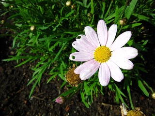IMG_1527.JPG