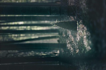 001