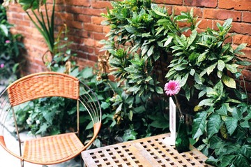 05570015.JPG