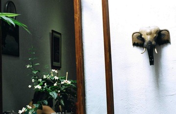 95840006.JPG