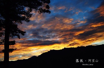 11嘉義，阿里山 - 副本.JPG