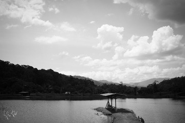 MX7_3678.jpg