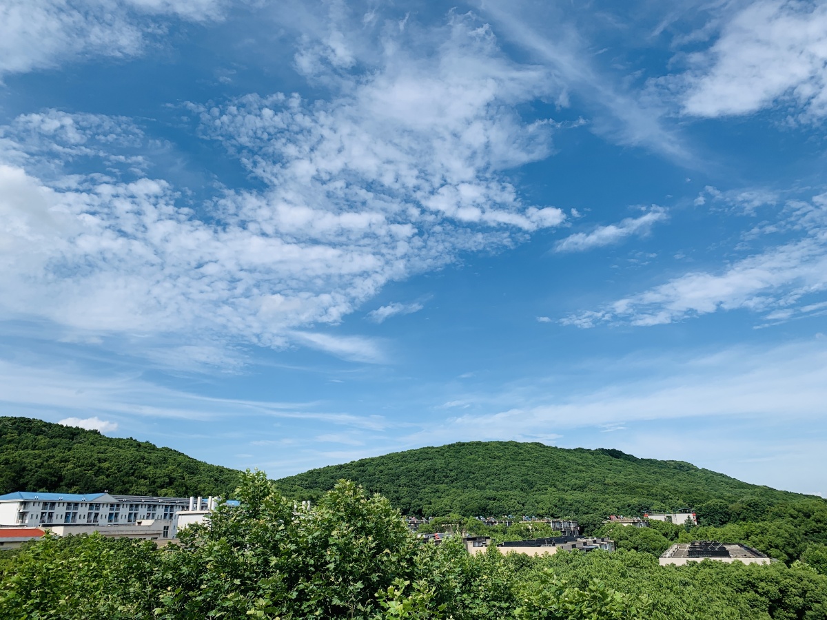 南望山下难忘你