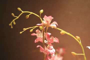 IMG_3974.JPG