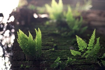 Untitled-9.jpg
