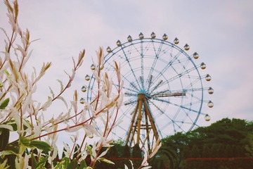348C01F1-CF10-4A2D-9901-95910F4139F9/L0/001