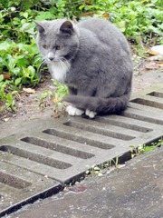 DSC09715_副本.jpg