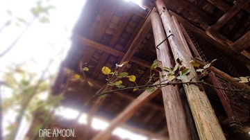 DSC08282_副本.jpg