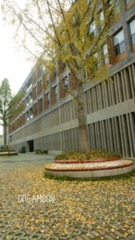 DSC08289_副本.jpg