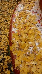 DSC08294_副本.jpg