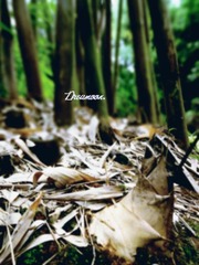 DSC04282_副本.jpg
