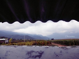 DSC04540_副本.jpg