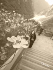 DSC04738_副本.jpg