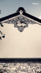 DSC05204_副本.jpg