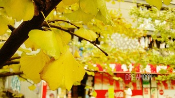 qiujing6.jpg