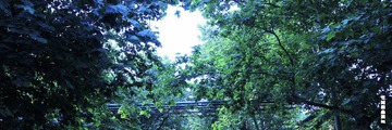 IMG_6246.jpg