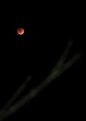 160358