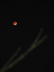 160358