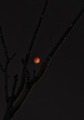 160362