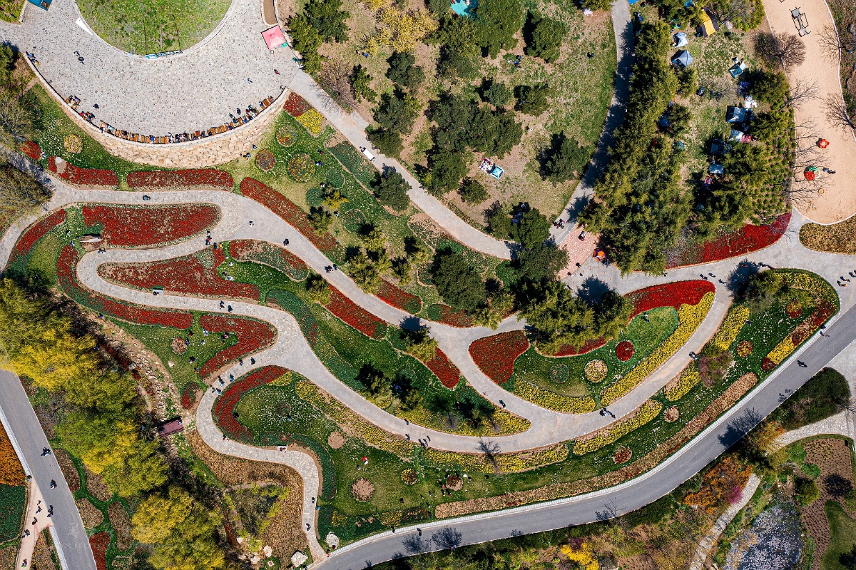 俯瞰英歌石植物园