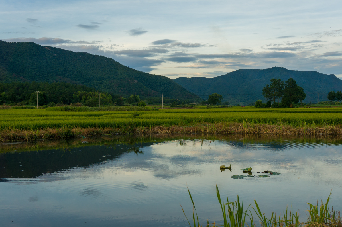 远处的山与彩云,近处的稻田与池塘,汇聚一副美景