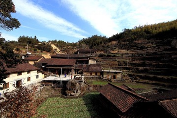 IMG_2925.jpg