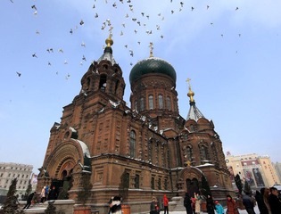 CK7O5530.JPG