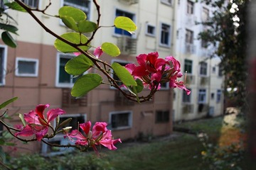 _MG_0057_副本.jpg