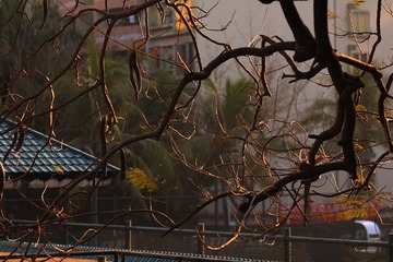 _MG_0299_副本.jpg