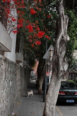 _MG_0038_副本.jpg