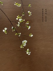 420E02FE-623A-4AC7-970A-C86EC2CEFA67/L0/001