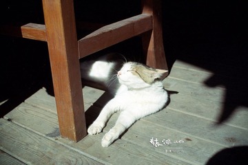 051.jpg