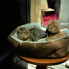01-2.jpg