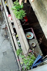 Scan-091201-0028.jpg