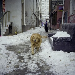Scan-130221-0010.jpg