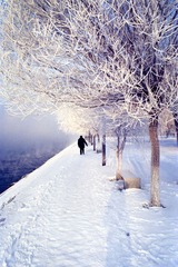Scan-130224-0006.jpg