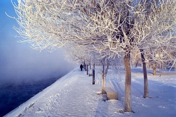 Scan-130223-0018.jpg