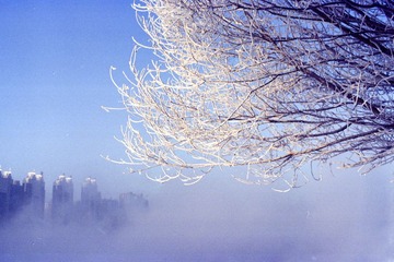 Scan-130224-0001-2.jpg