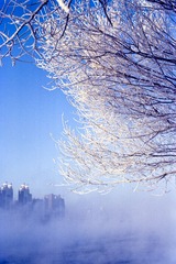 Scan-130224-0004.jpg