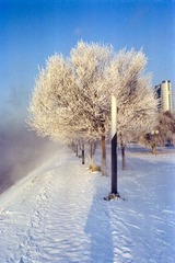 Scan-130224-0005.jpg