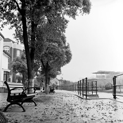 Scan-140405-0011-2