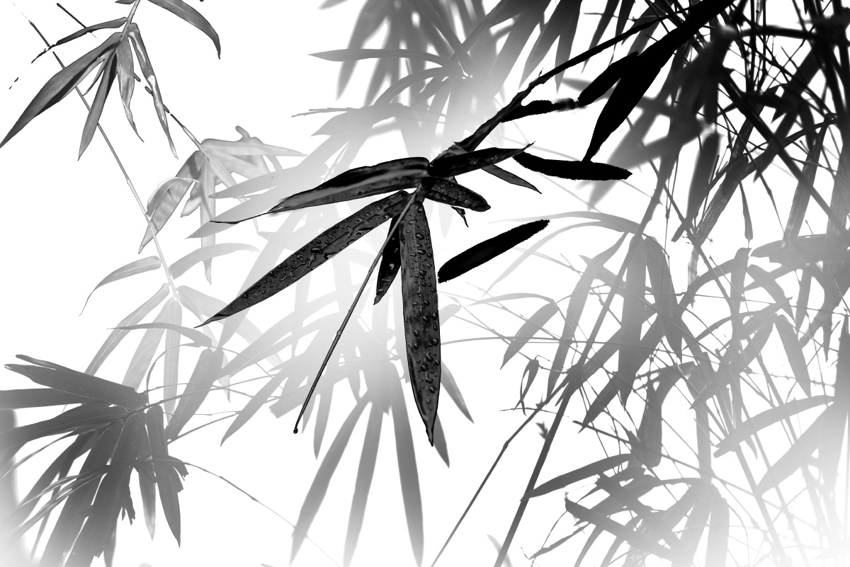 水墨竹子